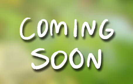 LMK Shadowpeach Shimeji (v 1.0)